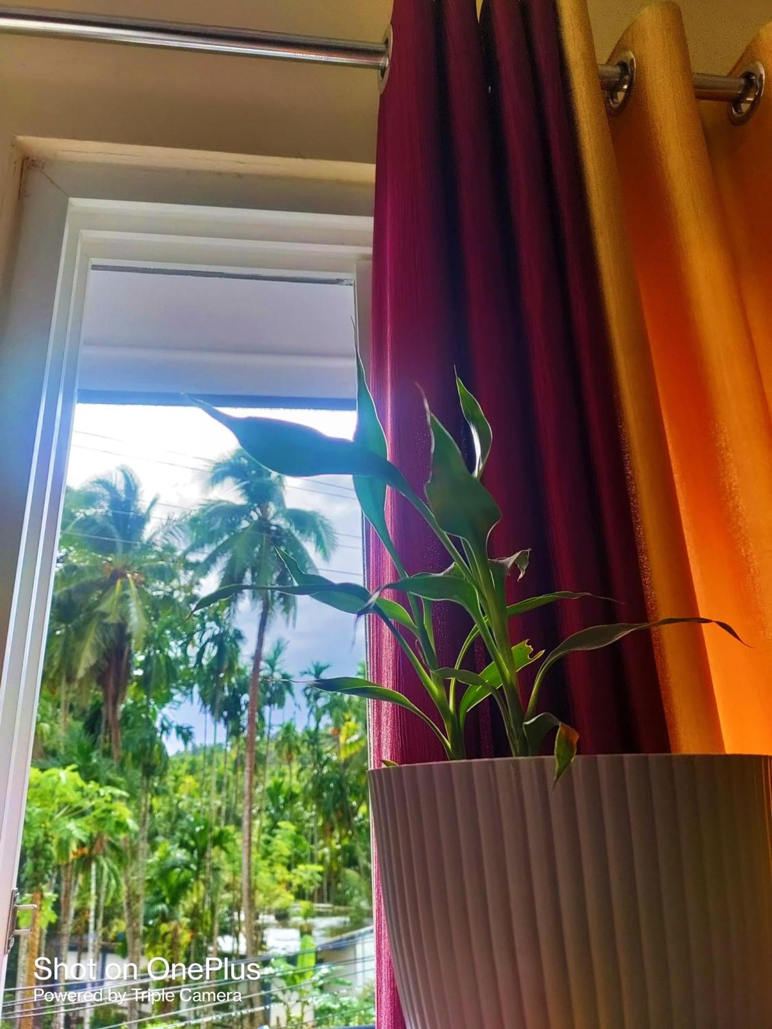 Hilton Garden Homestay ポートブレア エクステリア 写真